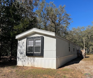 113 E Bent Bow Ln, Hawkins, TX 75765