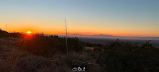 0 Vac Vic Avenue Z Vic 195 Ste Unit SR24217081, Llano, CA 93544