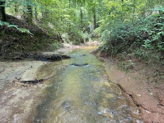 0 Co Rd 17 Lot Unit WP001, Tuskegee, AL 36083