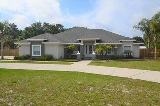 185 Longwood Dr, Osteen, FL 32764
