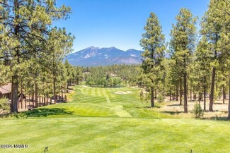 1590 E Castle Hills Dr, Flagstaff, AZ 86005