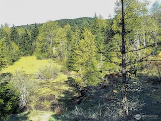 1513 Washington 8, McCleary, WA 98557