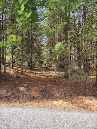 lot 45 Fourth Cir, Rock Hill, NY 12775