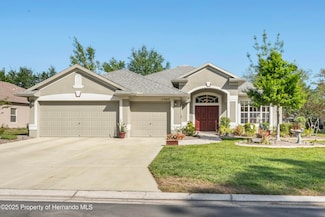 11949 Wexford Blvd, Spring Hill, FL 34609