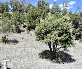 LOT 31 Little Big Horn Rd, Alto, NM 88312
