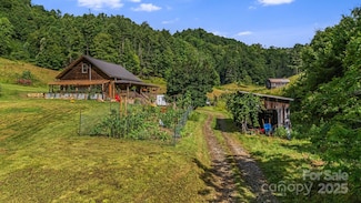 799 Fire Scald Rd, Green Mountain, NC 28740