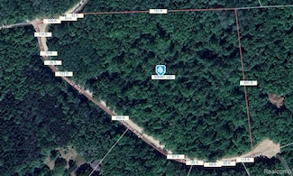 00 Shalimar Ridge, Metamora Township, MI 48455