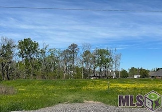 35348 Highway 74, Geismar, LA 70734