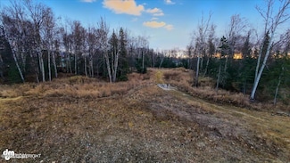 5645 N Stella Cir, Fishhook, AK 99654