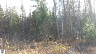 0 Maple Ridge Rd Unit 1808985, Sterling, MI 48659
