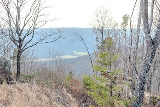 0 River View Ct Unit RTC2811170, Jasper, TN 37347