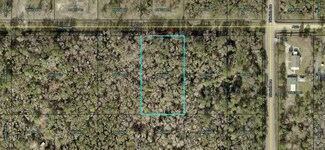 4725 Alvin St, Hastings, FL 32145