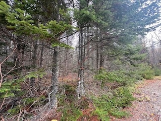 0 Yellow Birch Rd Unit 25438662, Whiting, ME 04691