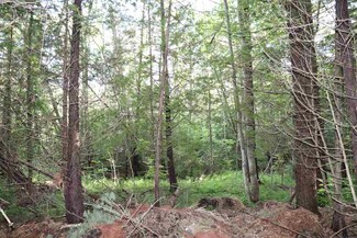 00 Wheeler Rd, Boyne City, MI 49712