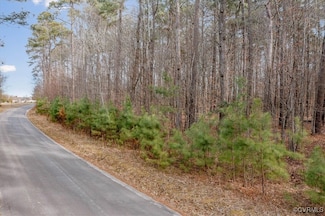 TBD Eagle Bluff Rd, Spring Grove, VA 23881