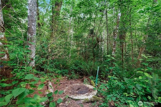 0 xx Fairview St SE, Olympia, WA 98501