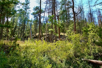 0 Box Canyon Ln Unit 23-64, Cascade, MT 59421
