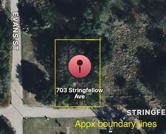 703 Stringfellow Ave, Marlin, TX 76661