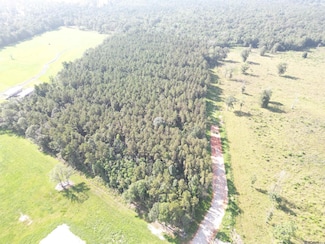 lot 1 Critter Cove Ln, Whitehall, LA 70754