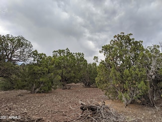 lot 79 N Ranch Rd Unit 79, Vernon, AZ 85940