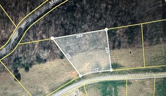 0 Tanzanite Tr Unit 1241289, New Tazewell, TN 37825