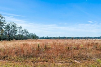 0 McCorquodale Road Lot 17 Unit Lot 17, Longville, LA 70652