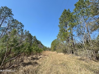 9199 Harbor Dr, Bay Saint Louis, MS 39520