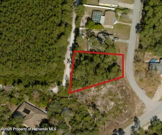 5417 Moongate Rd, Spring Hill, FL 34606