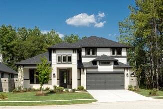 17335 Sunflower Petals Trail, Conroe, TX 77302