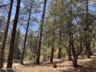 020e Vulture Bend Dr, Prescott, AZ 86305