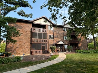 5985 Lakeside Place Unit 303, Tinley Park, IL 60477