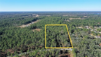 363 Crescent Lake Shore Dr, Crescent City, FL 32112