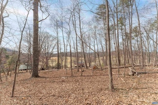 TBD Winsome Orchard Ln, North Garden, VA 22959