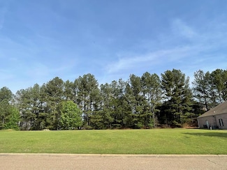 408-410 Galleria Dr, Oxford, MS 38655