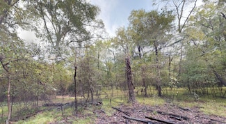 Lakeview Dr, Dayton, TX 77535