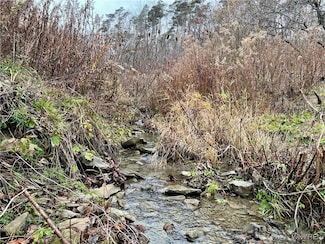 0 Feathers Creek Rd Unit B1651106, Belmont, NY 14813