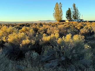 0 Christmas Valley Hwy Unit TL 900 220190876, Christmas Valley, OR 97641