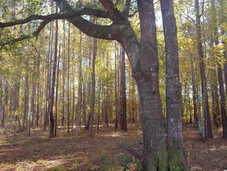 tbd Miracle Mile Rd, Hemingway, SC 29554