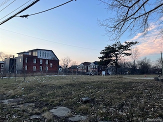 625 Custer St, Detroit, MI 48202