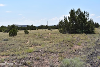 41 Dawn Ln, Concho, AZ 85924