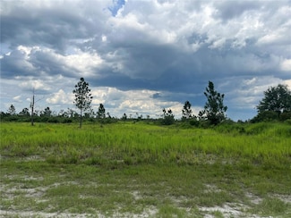 0 Pinnata Dr, Lake Wales, FL 33898