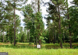 176 Overlook Dr, Eatonton, GA 31024