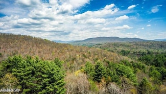 0 Lot 39 Green Ridge Tr Unit 1285128, Harriman, TN 37748