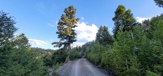 Tbd Bishop Creek (Anderson Lode) Rd, Basin, MT 59006