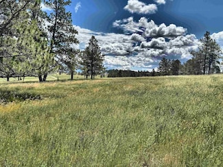 TBD W Argyle Rd, Custer, SD 57730