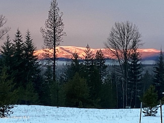 1367 Mud Gulch Rd, Priest River, ID 83856