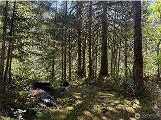 0 L 139 E Cascade Dr, Marblemount, WA 98267