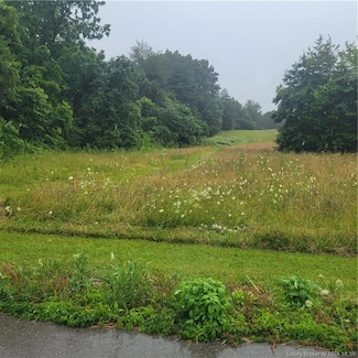 0 Leon Prall Rd Unit 202509609, Otisco, IN 47163