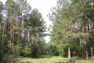 PID 25806,25807 Lloyd Walker Rd, Huntington, TX 75949