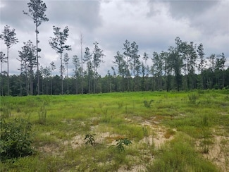 23799 Lonnie Hadley Rd, Perdido, AL 36562